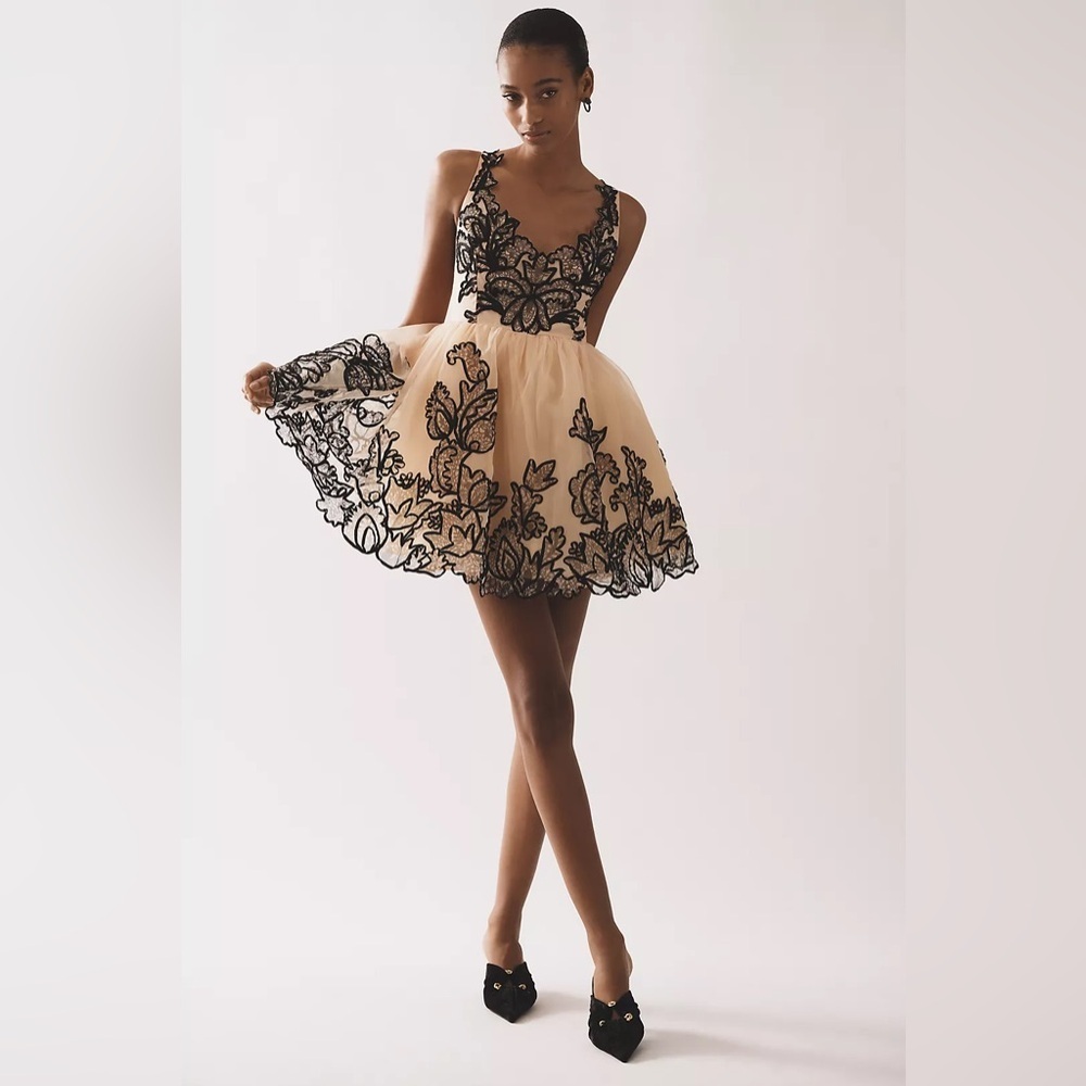 NWT Size 10 - Maeve Sleeveless V-Neck Lace Fit & Flare Mini Dress - Picture 1 of 16